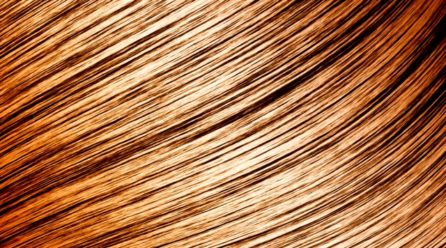 髪の毛って何？髪の構造など色々とご紹介