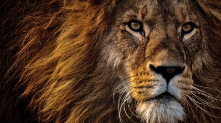 髪の静電気を予防しよう！ハイダメージ・猫毛の男性必見の対策法とは