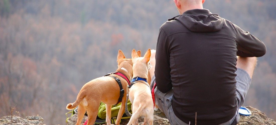 頭皮の血行を改善することで薄毛対策になるのか?