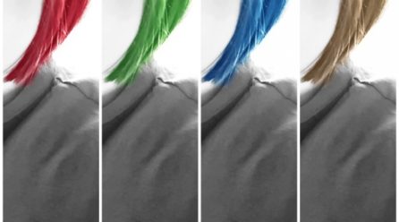 【メンズ向け】髪の一部を染めるポイントカラーの魅力と染め方