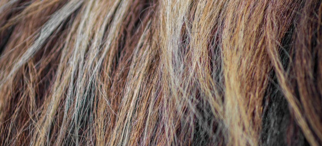 自分でヘアカラーを使用する際のよくある失敗と対策