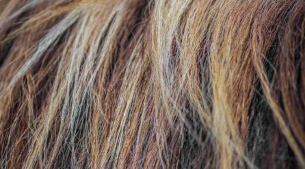 自分でヘアカラーを使用する際のよくある失敗と対策